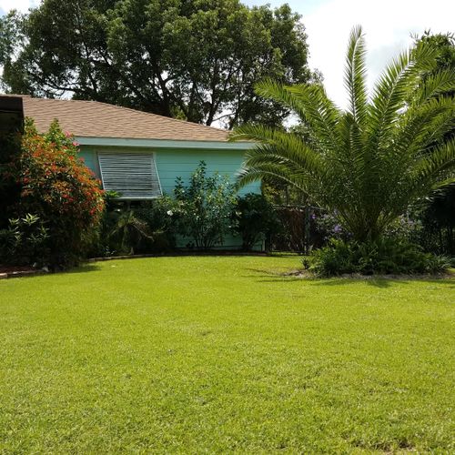 Bermuda lawn I service by hand cutting with a reel