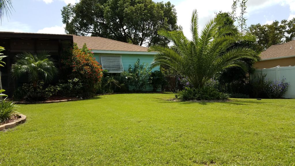 Bermuda lawn I service by hand cutting with a reel