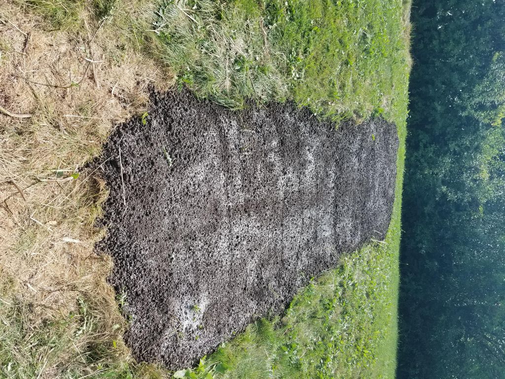 Wooden stairs removed, filled in and seeded