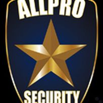 AP SECURITY LLC