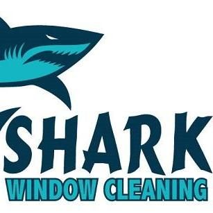 Shark Window Cleaning