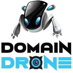 DomainDrone.com