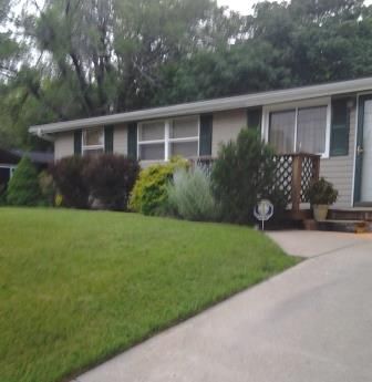 Perfect lawn and accenting perennials.