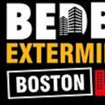 Bed Bug Exterminator Boston