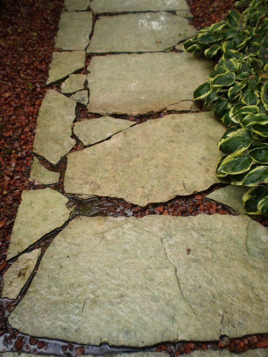 Limestone walk After - Pressure Washing