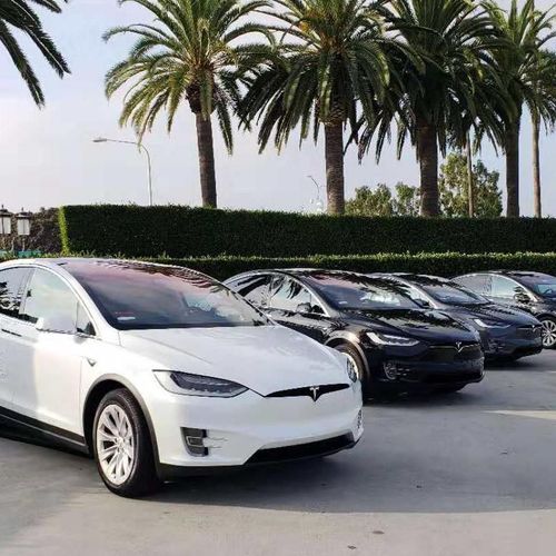 Tesla Model X Fleet
