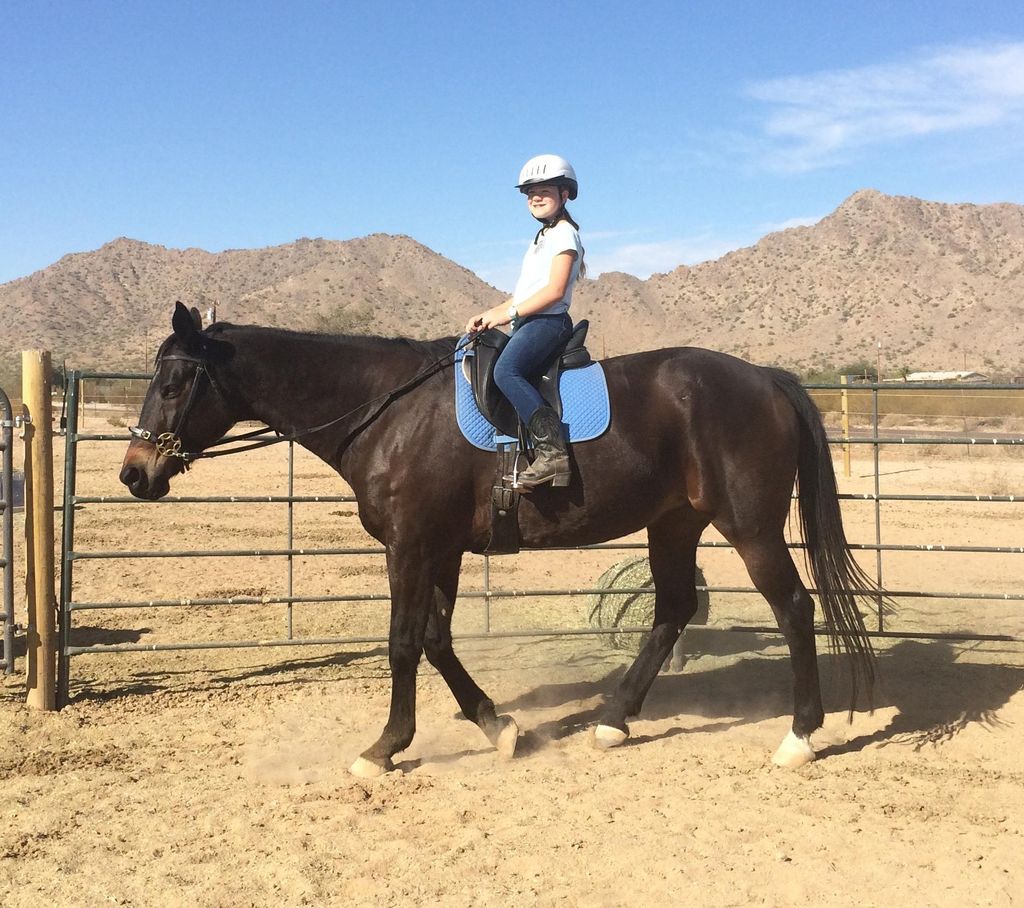 Students of all ages enjoy our beautiful, gentle h