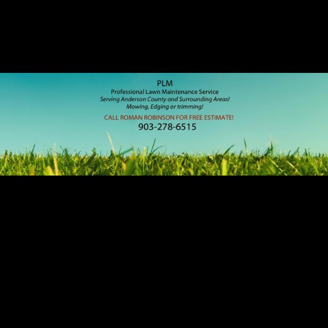 Franks remodel remove all lawn services.