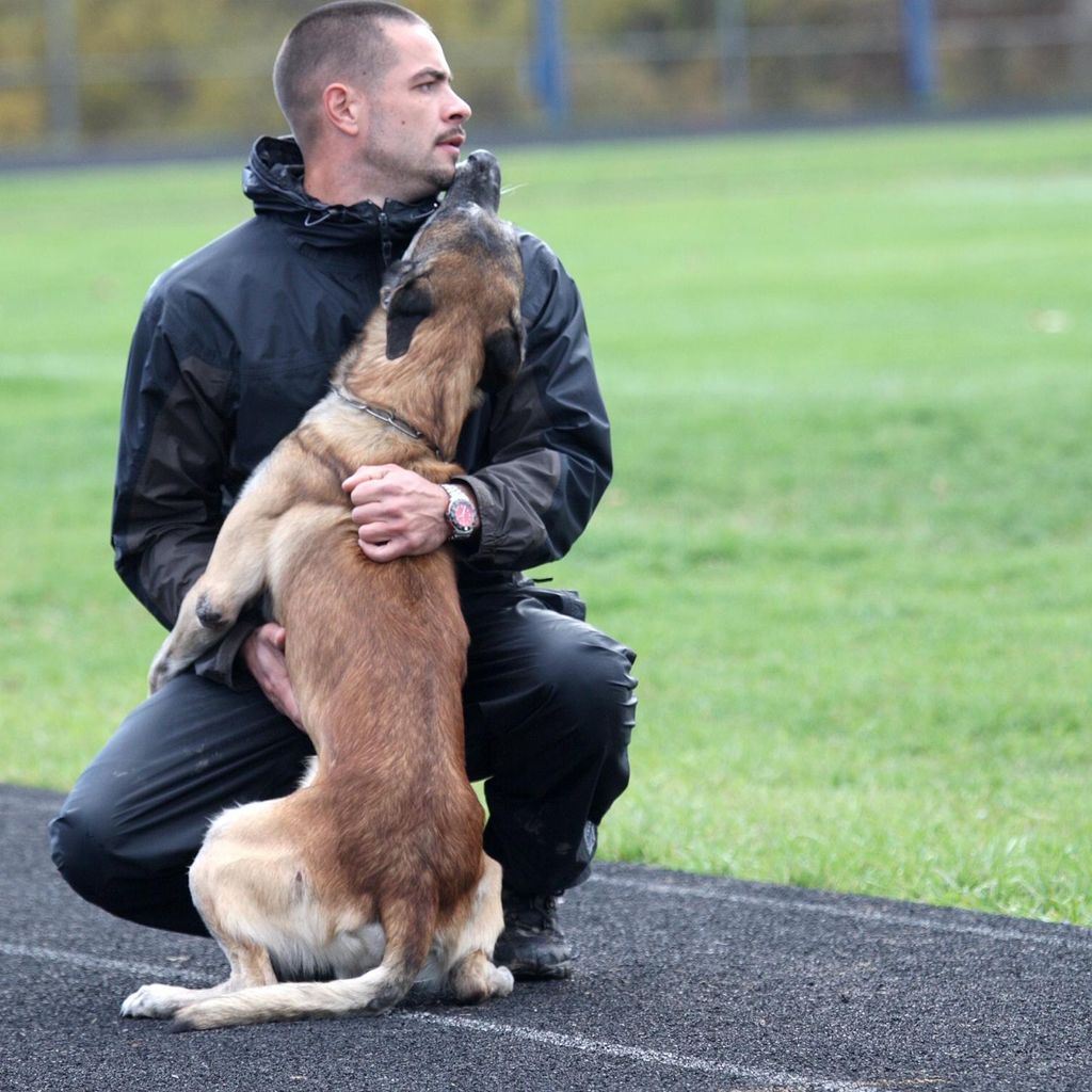 Professional Dog Training Services
