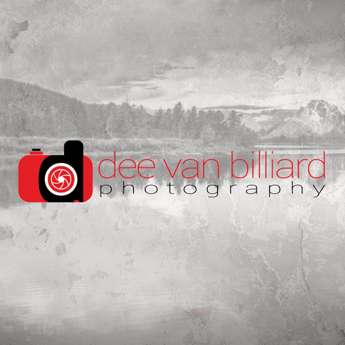Dee Van Billiard Photography - Logo Design & Water