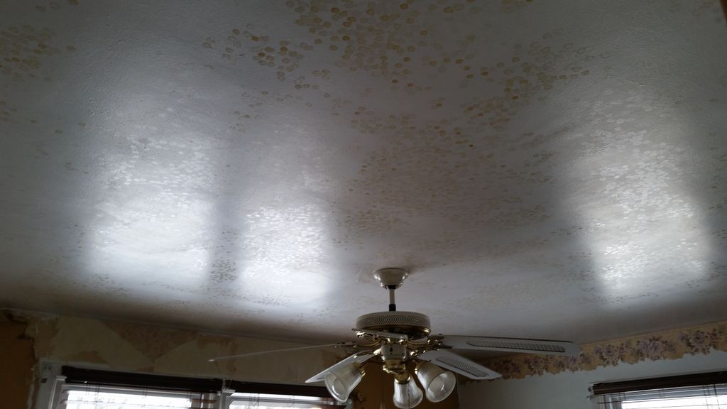 Ceiling Before