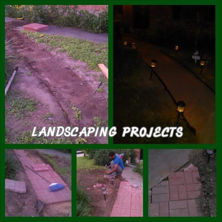 Projects and media