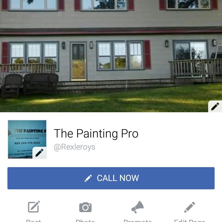 The Painting Pro