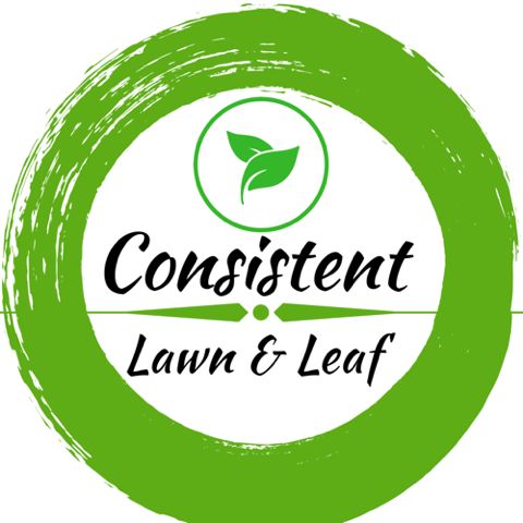 consistent lawn and leaf