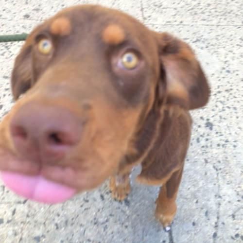 Yogi tells you what he thinks!