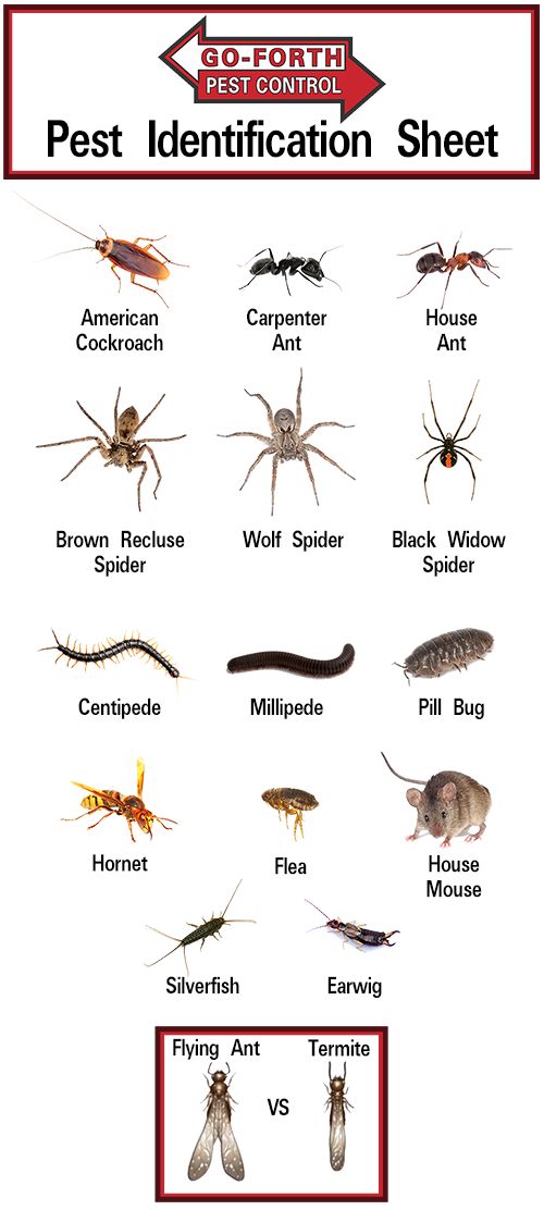 What might you be seeing?