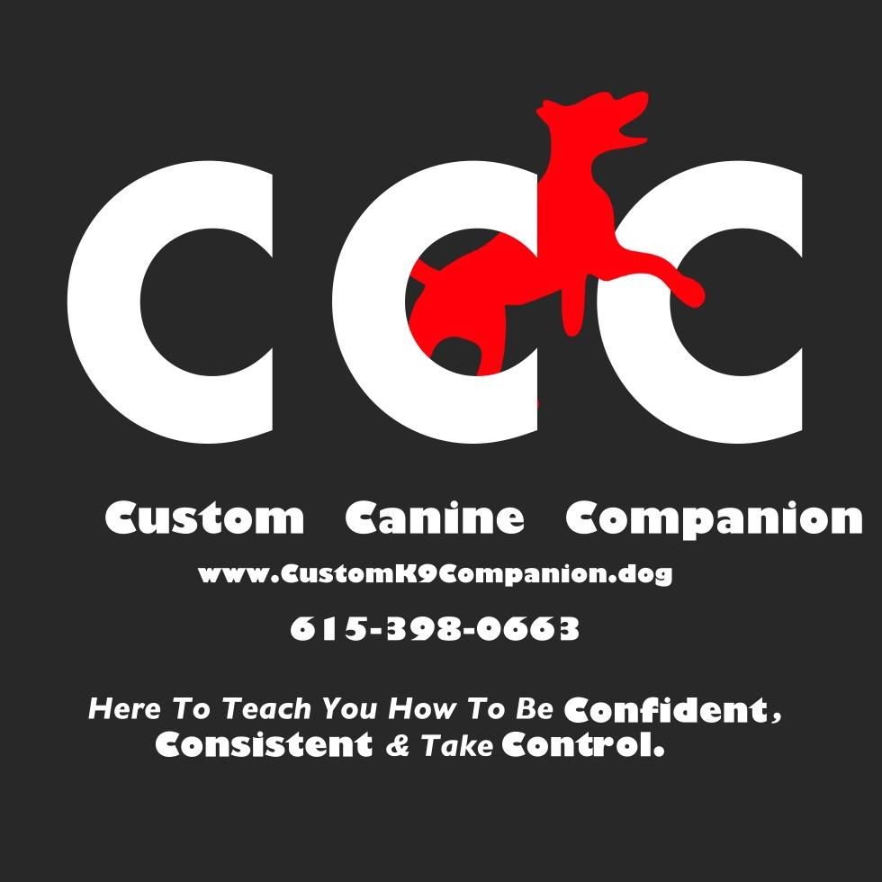 Custom Canine Companion