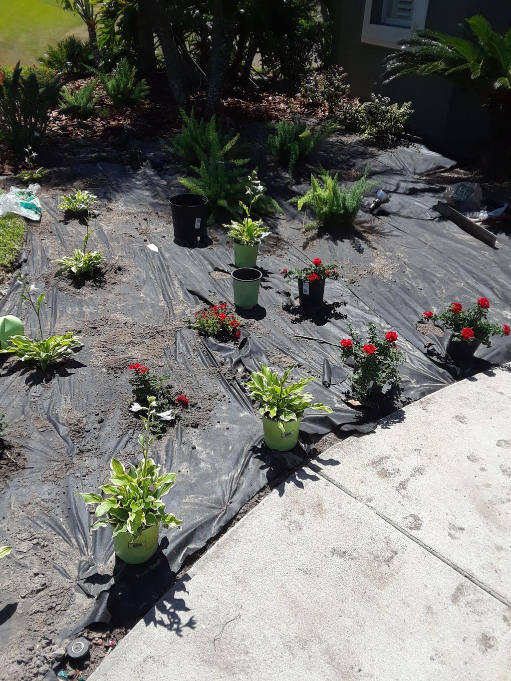 Landscape Install (Weed barrier)