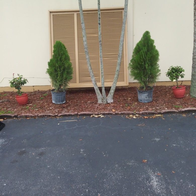 A.S LAW SERVICE AND TREE TRIMING AND LANDSCAPING