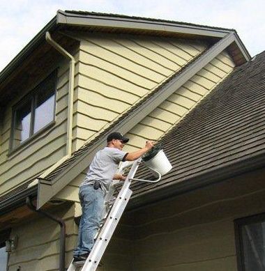 Roof and gutter cleaning