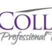 Colliers Professional Tax Service