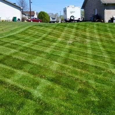 Clean Cuts Lawn Care