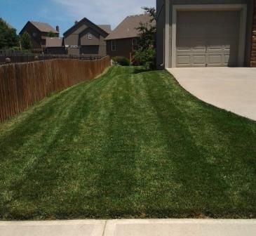 Another beautiful lawn.