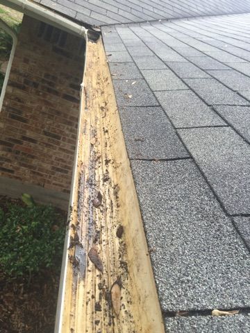 Gutter Cleaning
