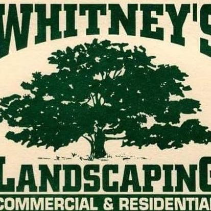 Whitney's landscaping