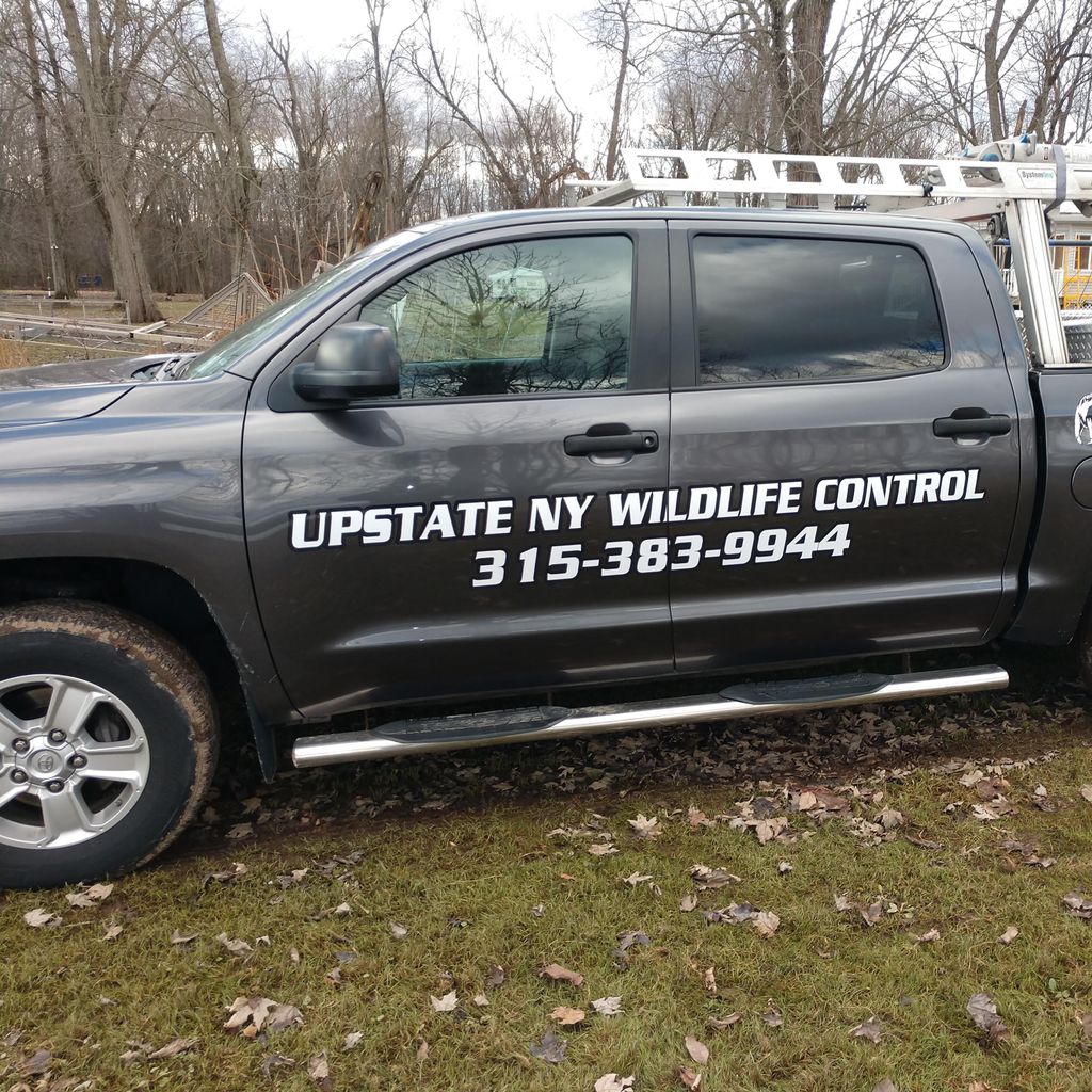 Upstat NY Wildlife Control
