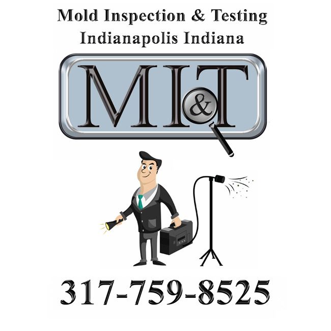 Mold Inspection & Testing Indianapolis
