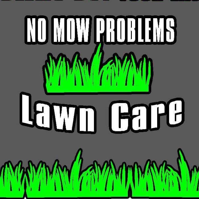 No Mow Problems Lawn Care