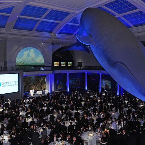 Corporate Event, Museum of Natural History, NYC
