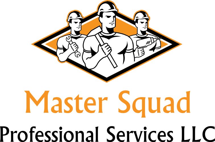 Master Squad Professional Services LLC: /Janito...