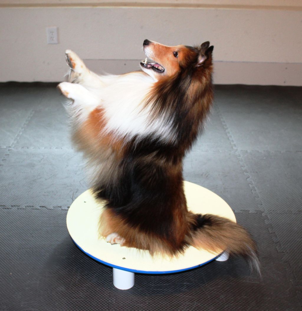 Incorporating tricks into your training routine ca