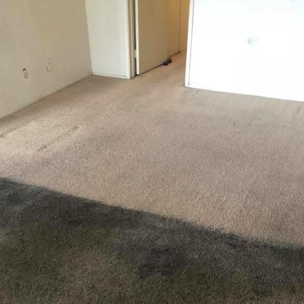 Carpet Clean Cincinnati