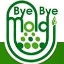 Bye Bye Mold