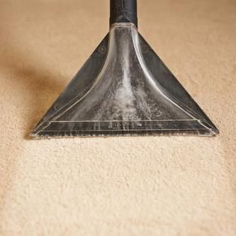 Federal Way Superior Carpet Cleaners