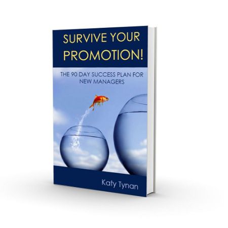 Survive Your Promotion! The 90 Day Success Plan fo