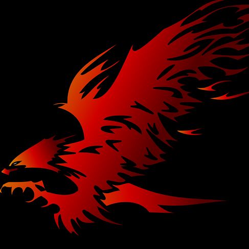 Red Hawks Self Defence