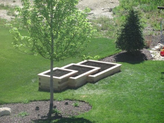 Raised vegetable garden project.