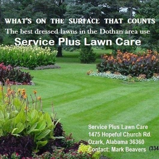 Service Plus Lawncare and Tree Service