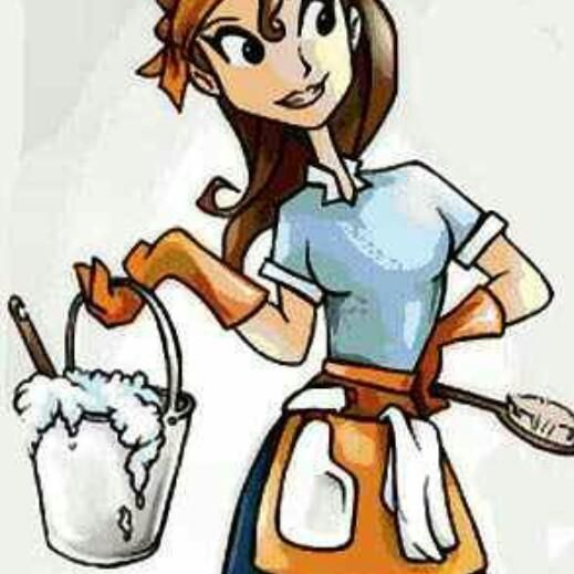 Maid 2 Shine Cleaning Services
