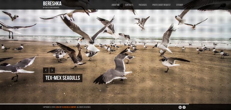 website that I made http://bereshka.net/