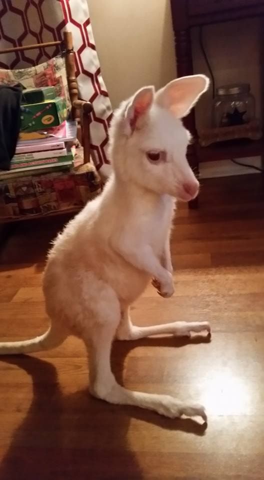 Baby Aspen, always adorable.