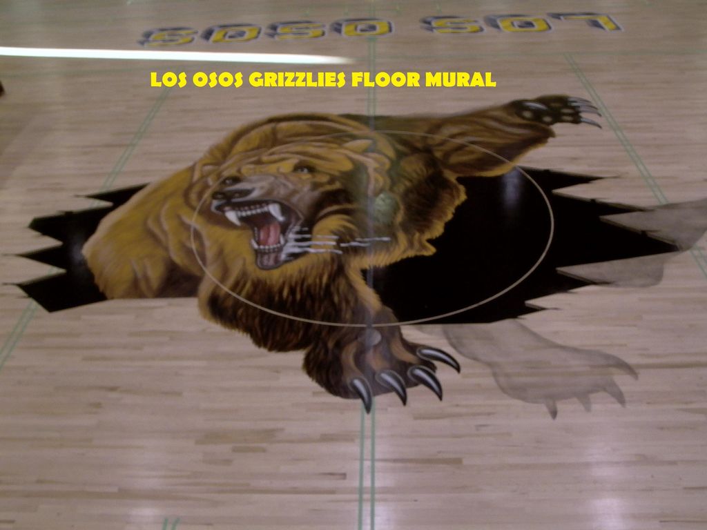 Grizzly on wood floor- california. about 20' x 20'