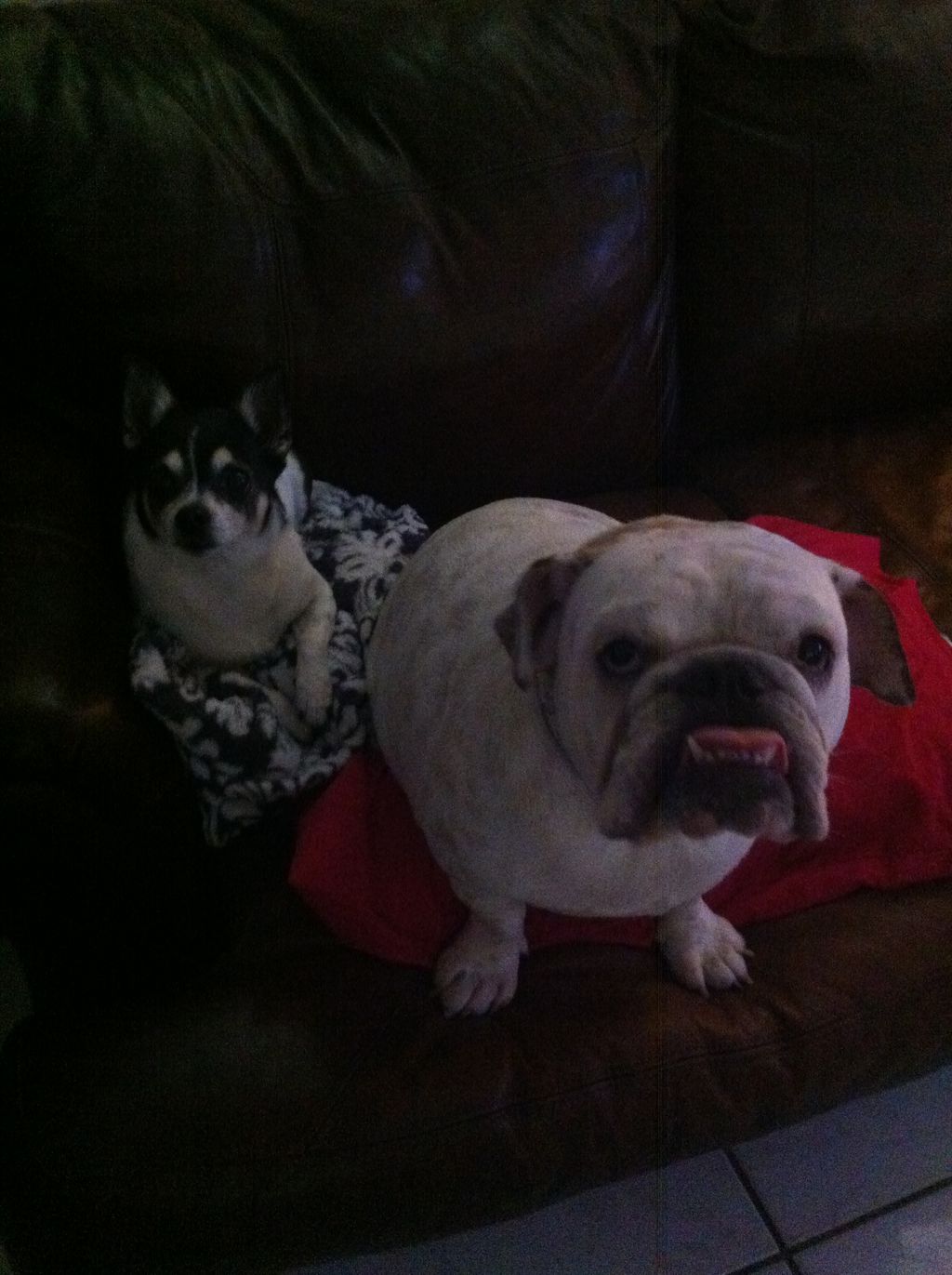 Don't be fooled by my grumpy face, but I'm happy b