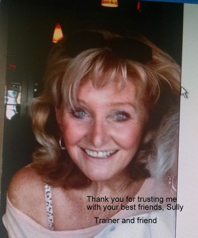 Sully= Trainer , behavior modifier,people instruct