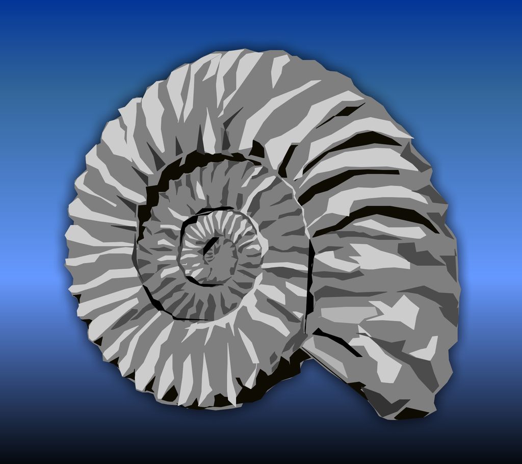Cephalopod Illustration