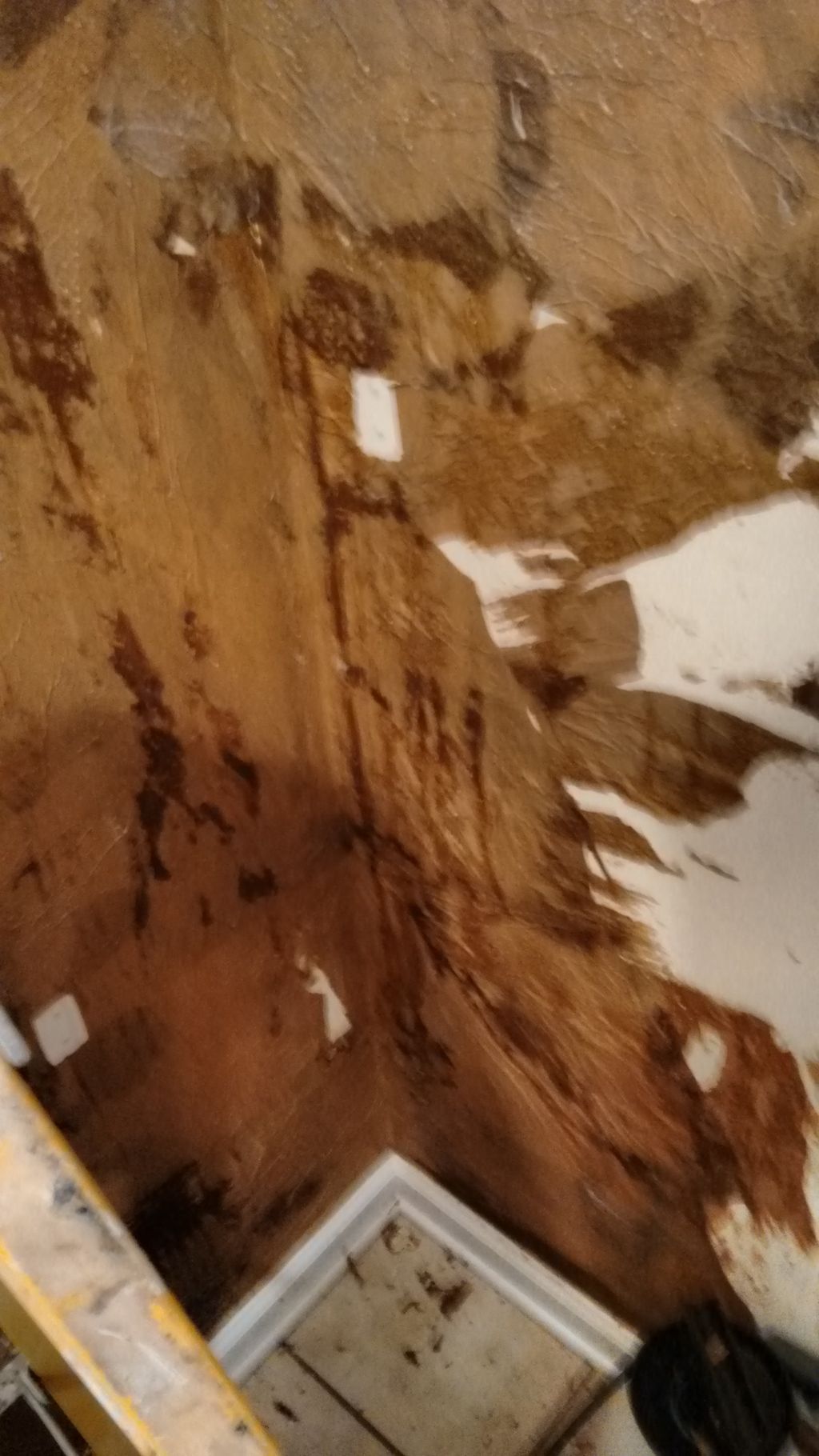 beginning to remove paper